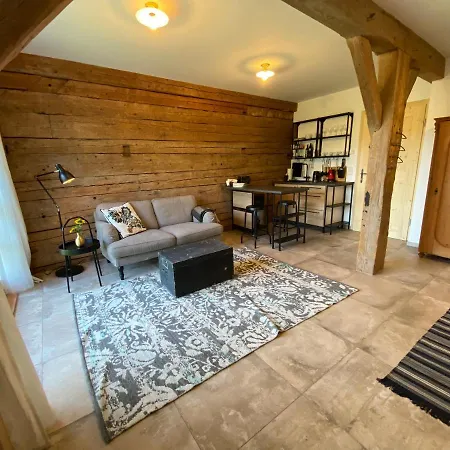 Appartement Mitterattweng-Florian Und Monika Clodi à Traunkirchen Extérieur photo